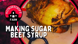 How To Make Sugar Beet Syrup At Home Sugar Beets [upl. by Bethel]