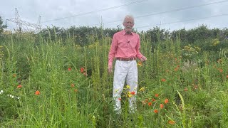 Weld with John Feehan Wildfowers of Offaly series [upl. by Kean]