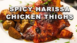 Spicy Harissa Chicken Thighs [upl. by Adeehsar]