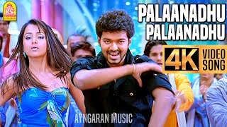 Palaanadhu Palaanadhu  4K Video Song பலானது பலானது Kuruvi  Vijay  Trisha  Vidyasagar  Ayngaran [upl. by Edas899]