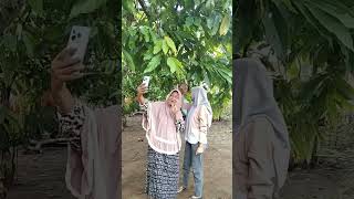 gangu orang lagi selfie shortsberanda [upl. by Ahseined]