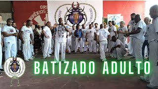 Capoeira Besouro  Mestre Pedra RJ Batizado adulto 31092024 [upl. by Willetta506]