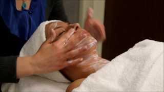 European Facial Massage Procedures [upl. by Naols]