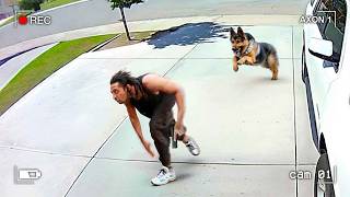 Dont Ever Run From a Police Dog [upl. by Joann]