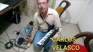 CARLOS VELASCO HACE UNA PEDALERA MIDI SUPERECONOMICA INCREIBLE [upl. by Muir826]