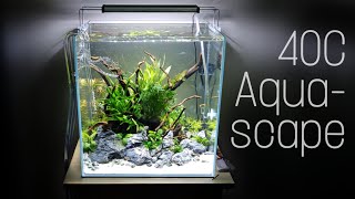 UNS 40C Aquascape [upl. by Austine]