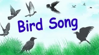 1 Hour of Relaxing Bird Songs in Wood Birds Chirping [upl. by Loma]