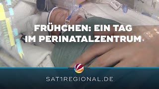 Frühchen Perinatalzentrum im Altonaer Kinderkrankenhaus [upl. by Eux293]