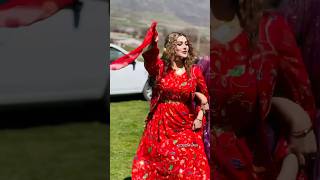 halparke kurdishdance dance [upl. by Ateekal]