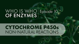 Who Is Who of Enzymes Cytochrome P450 Monooxygenases Nonnatural Reactions [upl. by Onidranreb294]