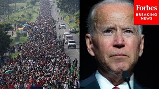 BREAKING NEWS Senate Republicans Demand Immediate Changes To Biden Border Policies [upl. by Ciri]