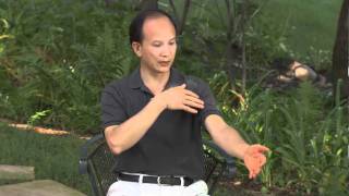 Spring Forest Qigong Demo quotHow Your Energy System Worksquot [upl. by Medarda185]