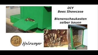 Bienen  Bienenschaukasten  Selber bauen  DIY  Helmchen [upl. by Ethelda]