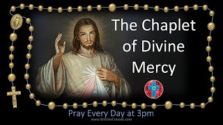 Pray the Chaplet of Divine Mercy the 3 oclock prayer multilanguage cc subtitles [upl. by Mariam]