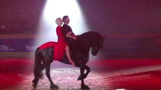 Gerke Friesian Proms 2019 [upl. by Atisor]