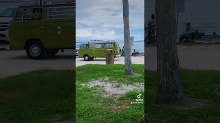 Dunedin Florida 📍🇺🇸 dunedin florida car video shorts youtube [upl. by Adda314]