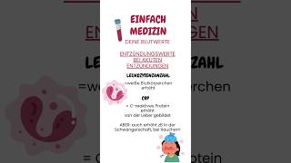 Blutwerte bei Entzündungen lasst gerne ein Abo da für mehr sinnvolle Inhalte medfluencer medizi [upl. by Akinit]