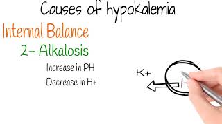 HypokalemiaElectrolytes part 3 [upl. by Ynaitirb]