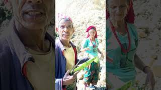 New nepali dasai songs [upl. by Arnold706]