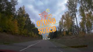 Circulando por las carreteras de Suecia en pleno otoño 4K 60fps [upl. by Ylsew]