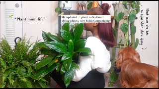 Houseplant Tour Updated 2024  plants in my small apartment 🌿 Diaries a struggling plant mom [upl. by Alyse]