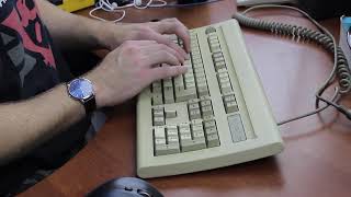 Typing Demo XL  Amber Omron B3GS Chicony KB5161C ASMR [upl. by Cammy]