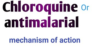 mechanism of action of chloroquine or antimalarial drugs full explained by simple language [upl. by Latif]