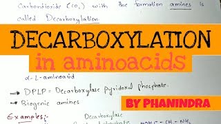 Decarboxylation of Aminoacids  Aminoacids metabolism [upl. by Arraeic]