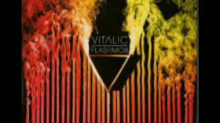 vitalic  second lives [upl. by Eldwin160]