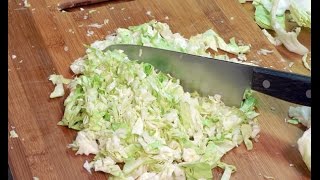 Homemade Coleslaw Recipe  The Hillbilly Kitchen [upl. by Zebedee]