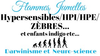 Flammes Jumelles  Profils Haut potentiel enfants quotindigoquot mission [upl. by Ahsekat593]