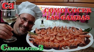 COMO COCER LAS GAMBAS MUY MUY FACILLLLL [upl. by West500]