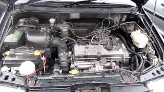 Mitsubishi RVR Engine Starting 1994 [upl. by Atonsah]