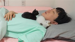 What Happens When You Sleep with Two Kittens [upl. by Deana]