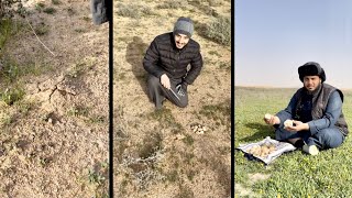 مكشات ولقط فقع في حفرالباطن 😍 الخميس 2021128 Truffle Festival in Saudi Arabia [upl. by Gerk554]