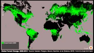 Global Forest Change 20002012 [upl. by Hgielime]