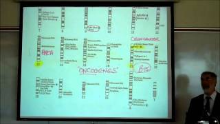 GENES amp DNA REPLICATION by Professor Fink [upl. by Anelrats936]