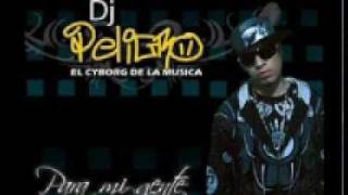 Dj Peligro ft Kale  reggaeton de la quinceañera 2010 [upl. by Nurse]