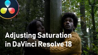 How to adjust the saturation in DaVinci Resolve 18 [upl. by Einnaoj]