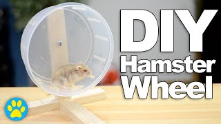 DIY Hamster Wheel  DIYJuly 16 [upl. by Adniles]