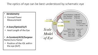 Biometry Part I Keratometry  Part II on Biometry will be available at quickguideorg [upl. by Kowatch]