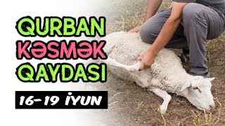 Qurban bayramı nə vaxtdır Qurban necə kəsilir  tövbəzamanı [upl. by Namaan923]