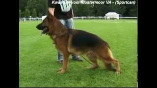 Kwantum vom Klostermoormp4 [upl. by Eupheemia]