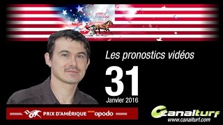 Prix dAmérique Opodo  Pronostic du Quinté et des courses PMU du Dimanche 31 janvier [upl. by Yrelav]