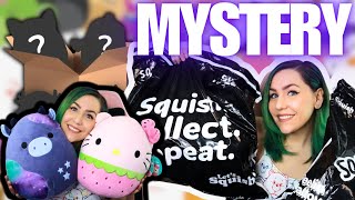 Official Squishmallow MYSTERY BOXES 5 SQUISH FTW [upl. by Eeram]