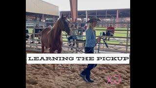 How To Teach Your Horse to Curbside [upl. by Moshell375]