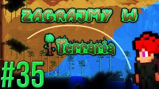 Zagrajmy w Terraria 35  Turniej 12 [upl. by Anders]