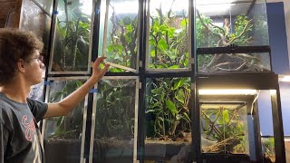 DIY Vertical Terrarium Screen Doors for 55 gallon Arboreal Crested Gecko Vivariums  DIY Reptiles [upl. by Isherwood]