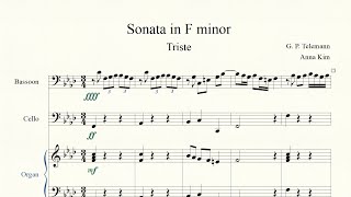 Telemann  Sonata for Bassoon and B C in F minor TWV 41f1 [upl. by Lubin]