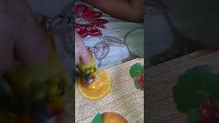 Why Sun Conures Are the Funniest Parrots  mimoparrot [upl. by Sinclare375]